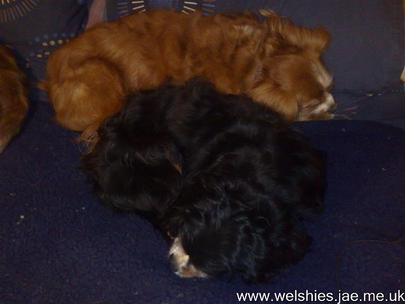 2011-01-29 18.jpg